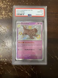 POKEMON 2024 Paldean Fates Shiny Rare DACHSBUN #161 PSA 10 Gem Mint RARE VHTF - Image 1