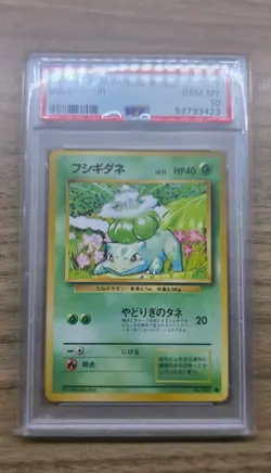 1996 Pokemon Japanese Base Starters Bulbasaur, Charmander and Squirtle PSA 10 - Image 3