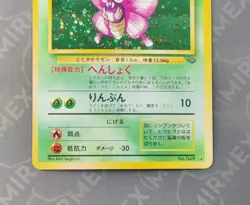 Pokemon Venomoth #049 Jungle Japanese Holo - Image 4