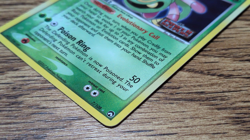 Pokemon TCG Cradily 7/108 EX Power Keepers Holo Rare NM - stamped - Image 4