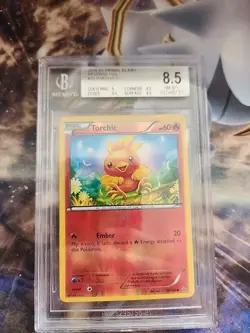 2015 PRIMAL CLASH Pokemon Torchic Reverse Holo 25/160 BGS 8.5 - Image 1