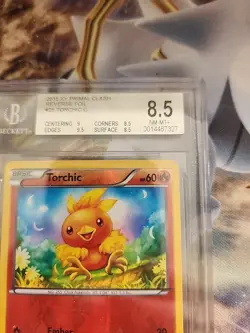 2015 PRIMAL CLASH Pokemon Torchic Reverse Holo 25/160 BGS 8.5 - Image 2
