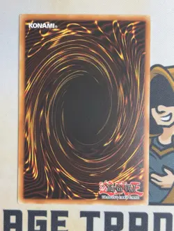 Koa'ki Meiru Drago RGBT-EN024 Ultimate Rare Holo 1st Edition YuGiOh! NM EURO - Image 4