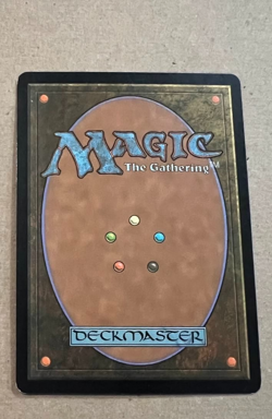 Yavimaya Coast - Apocalypse - MTG - Magic the Gathering - Image 4