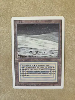 Magic the Gathering Revised Edition Dual Land Tundra, original owner - Image 1