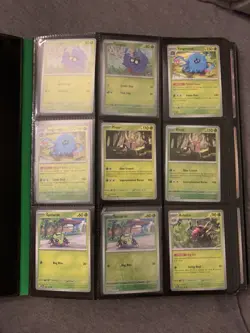 Pokemon TCG Twilight Masquerade Master Set (Partial) With Half Of The Fullarts - Image 2