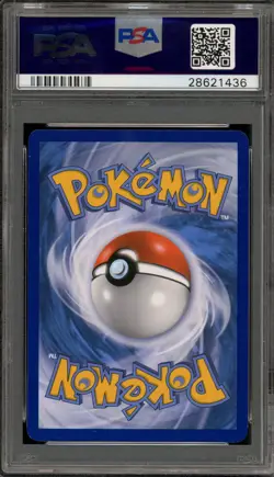 Pokemon M Gengar EX Collector Chest Black Star Holo Promo XY166 PSA 10 Gem Mint - Image 2