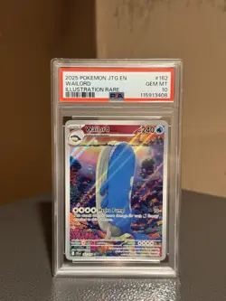 Pokemon TCG Wailord 162/159 Journey Together Gem Mint PSA 10 Illustration Rare - Image 4