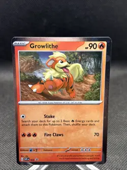 Growlithe Pokemon Scarlet & Violet SVP 024 Cosmos Holo Black Star Promo 2023 - Image 4