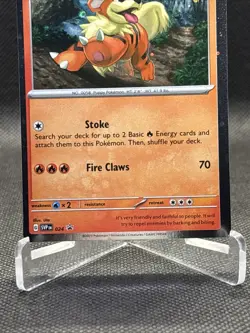 Growlithe Pokemon Scarlet & Violet SVP 024 Cosmos Holo Black Star Promo 2023 - Image 5