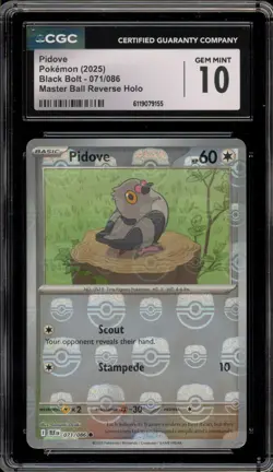Pokemon Pidove Black Bolt Master Ball Reverse Holo #071 CGC 10 Gem Mint - Image 1