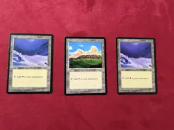Snow-Covered Plains And Reg Land Lot - Ice Age MTG Magic The Gathering Vintage - Image 1