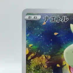 Pokemon Cards Turtwig AR 206/172 S12a VSTAR Universe NM Japanese j53 - Image 2