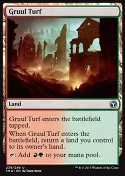 MTG 2x GRUUL TURF EXC - TORBA GRUUL - IMA - MAGIC - Image 1