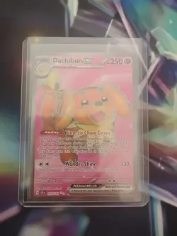 Dachsbun ex 160/142 Full Art Double Rare Pokemon Stellar Crown - Image 1
