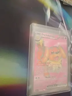Dachsbun ex 160/142 Full Art Double Rare Pokemon Stellar Crown - Image 2
