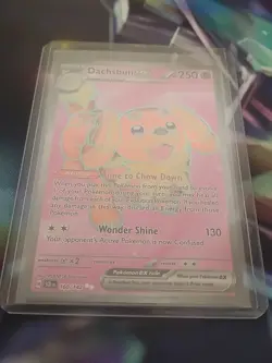 Dachsbun ex 160/142 Full Art Double Rare Pokemon Stellar Crown - Image 4