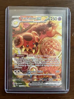 Pokemon: 1x Dachsbun ex - 169/142 - Special Illustration Rare - NM Stellar Crown - Image 1