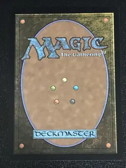 MTG Teenage Mutant Ninja Turtles Source Material Splinter of the Shadows 0006 - Image 2