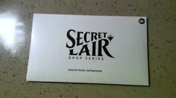 MTG Secret Lair Drop Series Special Guest Kelogsloops - Non Foil - Image 1
