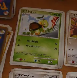 POKEMON JAPANESE CARD CARD turtwig 017/DP-P world Hobby Fair 2007 JAPAN MINT - Image 1