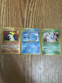 Pokemon Jap Neo Premium File Holo Lot Typhlosion, Feraligatr, & Meganium - Image 1