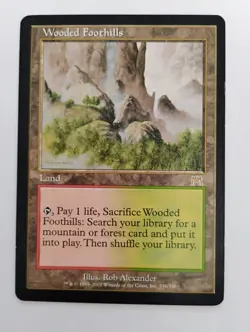 Wooded Foothills Onslaught Regular LP - Image 1