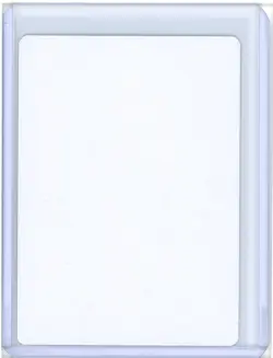 Firewake Sliver TSR Foil Signed Anthony S. Waters Artist Proof MTG - Image 2