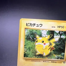Pikachu No. 025 Japanese Jungle Old Back Red Cheeks Vintage WOTC Pokemon Card - Image 3