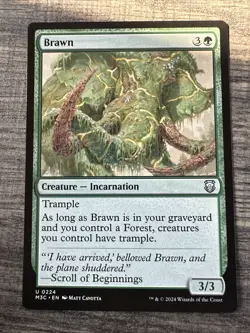 Brawn - 224 - NM - Commander: Modern Horizons 3 - MTG - Image 1