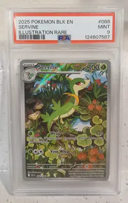 Pokemon TCG Servine 088/086 Illustration Rare Black Bolt Mint 9 (PSA9) - Image 1
