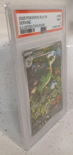 Pokemon TCG Servine 088/086 Illustration Rare Black Bolt Mint 9 (PSA9) - Image 2