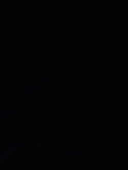 Entei 34 Black Star WOTC Movie Promo Reverse Holo Pokemon Card - Image 3