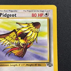 Pidgeot 24/64 Jungle Rare Non-Holo Wizards 1999 WOTC Pokemon Card Near Mint NM - Image 4