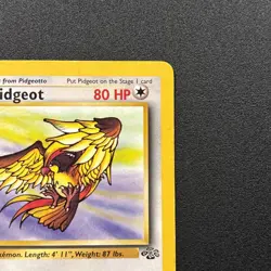 Pidgeot 24/64 Jungle Vintage WOTC Pokemon Card Near Mint - Image 4