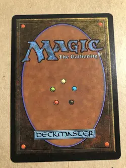 Magic the Gathering WALL OF PUTRID FLESH Legends #41 NM MTG - Image 2