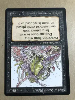 Magic the Gathering WALL OF PUTRID FLESH Legends #41 NM MTG - Image 3