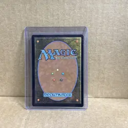 Sunbaked Canyon (Borderless) Avatar: The Last Airbender: Eternal-Legal Foil - Image 2