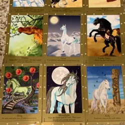 Lot of (29) Bella Sara - 2nd series cards Great Condition! - Image 4