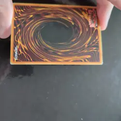 GYAKU-GIRE PANDA DR1-EN183 UNL COMMON LP YuGiOh MP - Image 5