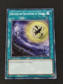 Yu-Gi-Oh ! - Serviteur des Protecteurs du Tombeau - SRL-FR031 - Commune - Image 1