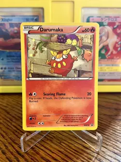 Pokemon TCG Black & White Black Star Promo Darumaka BW18 2012 Near Mint - Image 1