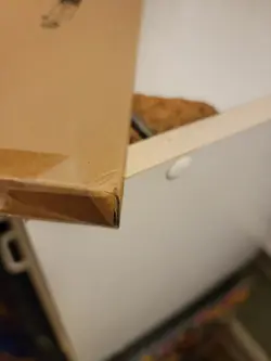 One Piece TCG Premium Card Collection 25th Edition English New & Sealed - Image 5