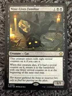 Nine-Lives Familiar Foundations Regular - Image 1