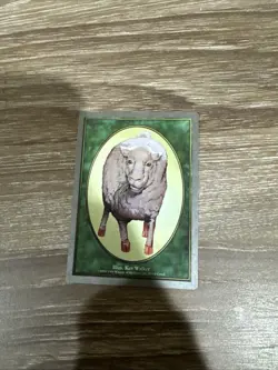 Sheep Token Unglued (UGL) Magic MTG - Silver Background - Image 1