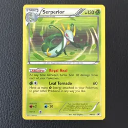Serperior Holo Blackstar Promo Bw20 Pokemon - Image 1