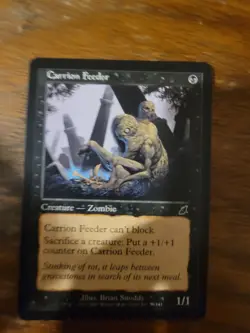 Carrion Feeder Scourge MTG Magic The Gathering Card Vintage Pauper Zombie Black - Image 1