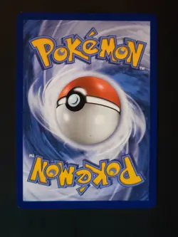 Pokemon Mega Charizard E ex 029 Promo - Image 2