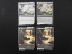 4x Clearwater Pathway NM/LP [Zendikar Rising] 2 Borderless Mtg Free Tracking! - Image 3