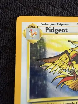 Pokemon TCG Pidgeot Holo Rare Jungle Set, Card 8/64, WOTC Vintage 1999 - Image 3